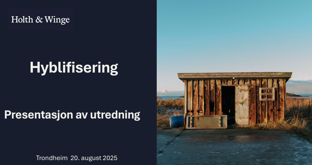 Konsulentrapport om hyblifiseringsparagrafen